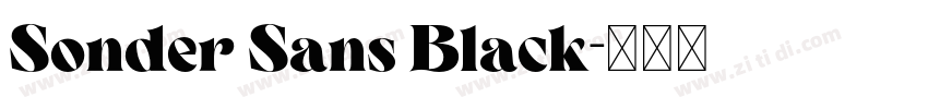 Sonder Sans Black字体转换 Sonder Sans Black字体转换